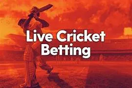 Live cricket betting on Laser247 app — IPL ball by ball odds