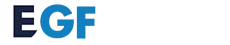 E-Gaming Federation